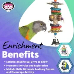 Super Bird Creations Jungle Stick Bird Toy 13 Super Bird Creations Jungle Stick Bird Toy -Sunny Decor Shop 865126 PT4. AC SS1800 V1687881166