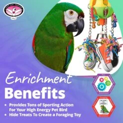 Super Bird Creations Kick Ball Bird Toy -Sunny Decor Shop 865158 PT4. AC SS1800 V1687887272