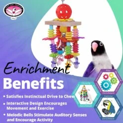 Super Bird Creations Balsa Springs Bird Toy -Sunny Decor Shop 865174 PT4. AC SS1800 V1687880237