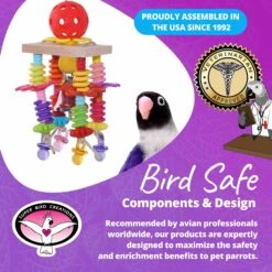 Super Bird Creations Balsa Springs Bird Toy -Sunny Decor Shop 865174 PT7. AC SS1800 V1687890549