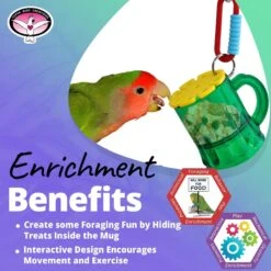 Super Bird Creations Mug Forager Bird Toy -Sunny Decor Shop 865190 PT4. AC SS1800 V1687880183