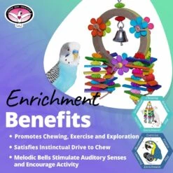 Super Bird Creations Balsa Garden Bird Toy 11 Super Bird Creations Balsa Garden Bird Toy -Sunny Decor Shop 865206 PT4. AC SS1800 V1687883209