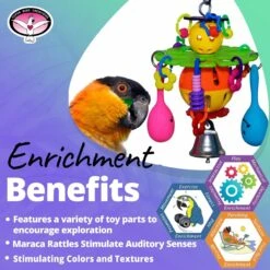 Super Bird Creations Maraca Blast Bird Toy -Sunny Decor Shop 865222 PT4. AC SS1800 V1687887391