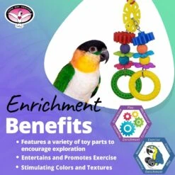 Super Bird Creations Tug-a-Lug Bird Toy -Sunny Decor Shop 865238 PT4. AC SS1800 V1687881708