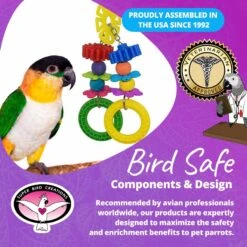 Super Bird Creations Tug-a-Lug Bird Toy -Sunny Decor Shop 865238 PT7. AC SS1800 V1687891482