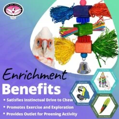 Super Bird Creations Preen & Spin Bird Toy -Sunny Decor Shop 865254 PT4. AC SS1800 V1687890545