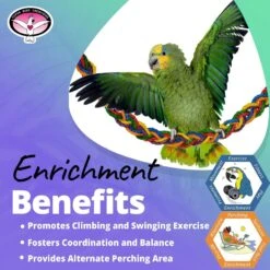 Super Bird Creations Rainbow Rope Bridge Bird Toy -Sunny Decor Shop 865270 PT4. AC SS1800 V1687883090