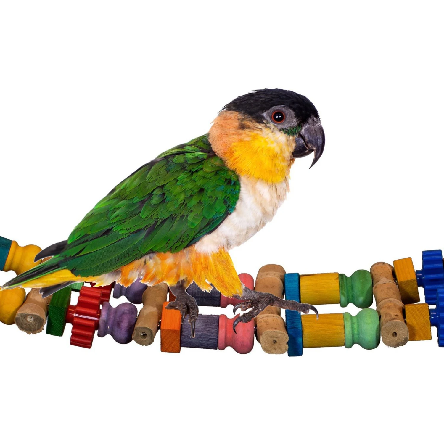 Super Bird Creations Bamboo Bridge Bird Toy 3 Super Bird Creations Bamboo Bridge Bird Toy