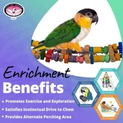Super Bird Creations Bamboo Bridge Bird Toy 11 Super Bird Creations Bamboo Bridge Bird Toy -Sunny Decor Shop 865286 PT4. AC SS1800 V1687891879
