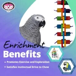 Super Bird Creations Link 'N Chew Bird Toy 11 Super Bird Creations Link 'N Chew Bird Toy -Sunny Decor Shop 865302 PT4. AC SS1800 V1687891819