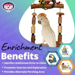 Super Bird Creations Mega Swing Bird Toy -Sunny Decor Shop 865318 PT4. AC SS1800 V1687882551