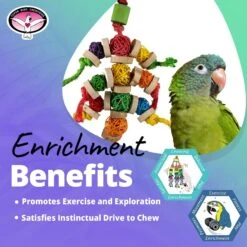 Super Bird Creations Bingo Chips Bird Toy -Sunny Decor Shop 865334 PT4. AC SS1800 V1687891365