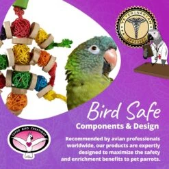 Super Bird Creations Bingo Chips Bird Toy -Sunny Decor Shop 865334 PT7. AC SS1800 V1687893710