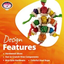 Super Bird Creations Bingo Chips Bird Toy -Sunny Decor Shop 865334 PT8. AC SS1800 V1687890671