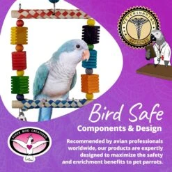 Super Bird Creations Groovin' Swing Bird Toy -Sunny Decor Shop 865350 PT7. AC SS1800 V1687891424