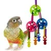 Super Bird Creations Top This! Bird Toy -Sunny Decor Shop 865366 MAIN. AC SS1800 V1687893098