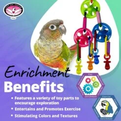 Super Bird Creations Top This! Bird Toy -Sunny Decor Shop 865366 PT4. AC SS1800 V1687887327