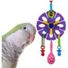 Super Bird Creations Maraca Flower Bird Toy -Sunny Decor Shop 865382 MAIN. AC SS1800 V1687882607