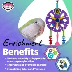 Super Bird Creations Maraca Flower Bird Toy -Sunny Decor Shop 865382 PT4. AC SS1800 V1687893042