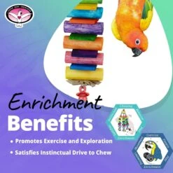 Super Bird Creations Sola Balsa Stack Bird Toy -Sunny Decor Shop 865398 PT4. AC SS1800 V1687891477