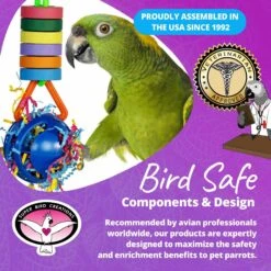 Super Bird Creations Wacky Waffle Bagel Bird Toy -Sunny Decor Shop 865414 PT7. AC SS1800 V1687887331