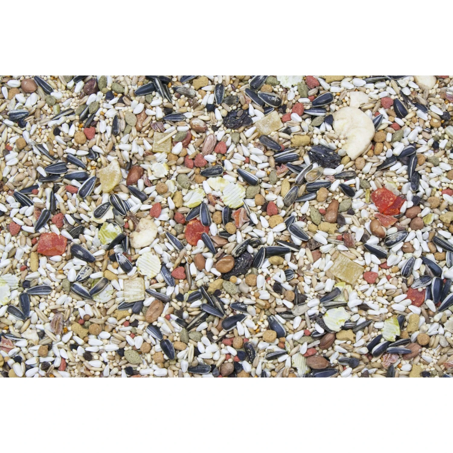 Higgins Vita Seed Conure & Lovebird Bird Food, 2.5-lb Bag 4 Higgins Vita Seed Conure & Lovebird Bird Food, 2.5-lb Bag - Image 2