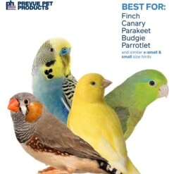 Prevue Pet Products Playfuls Fairy Queen Bird Toy, Multicolor -Sunny Decor Shop 905926 PT3. AC SS1800 V1689369595