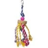 Prevue Pet Products Playfuls Court Jester Bird Toy, Multicolor -Sunny Decor Shop 905958 MAIN. AC SS1800 V1689363587