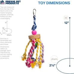 Prevue Pet Products Playfuls Court Jester Bird Toy, Multicolor -Sunny Decor Shop 905958 PT1. AC SS1800 V1689365247
