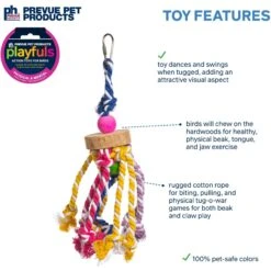 Prevue Pet Products Playfuls Court Jester Bird Toy, Multicolor -Sunny Decor Shop 905958 PT2. AC SS1800 V1689365378