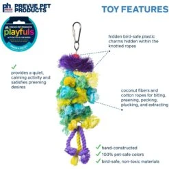 Prevue Pet Products Playfuls Braided Bunch Bird Toy, Multicolor -Sunny Decor Shop 905990 PT2. AC SS1800 V1689360745