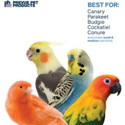 Prevue Pet Products Playfuls Braided Bunch Bird Toy, Multicolor -Sunny Decor Shop 905990 PT3. AC SS1800 V1689369792