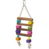 Prevue Pet Products Playfuls Chow Bird Toy, Multicolor -Sunny Decor Shop 906022 MAIN. AC SS1800 V1689363643