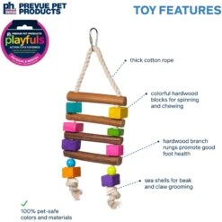 Prevue Pet Products Playfuls Chow Bird Toy, Multicolor -Sunny Decor Shop 906022 PT2. AC SS1800 V1689360765