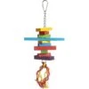 Prevue Pet Products Playfuls Sassy Bird Toy, Multicolor 1 Prevue Pet Products Playfuls Sassy Bird Toy, Multicolor -Sunny Decor Shop 906054 MAIN. AC SS1800 V1689363581