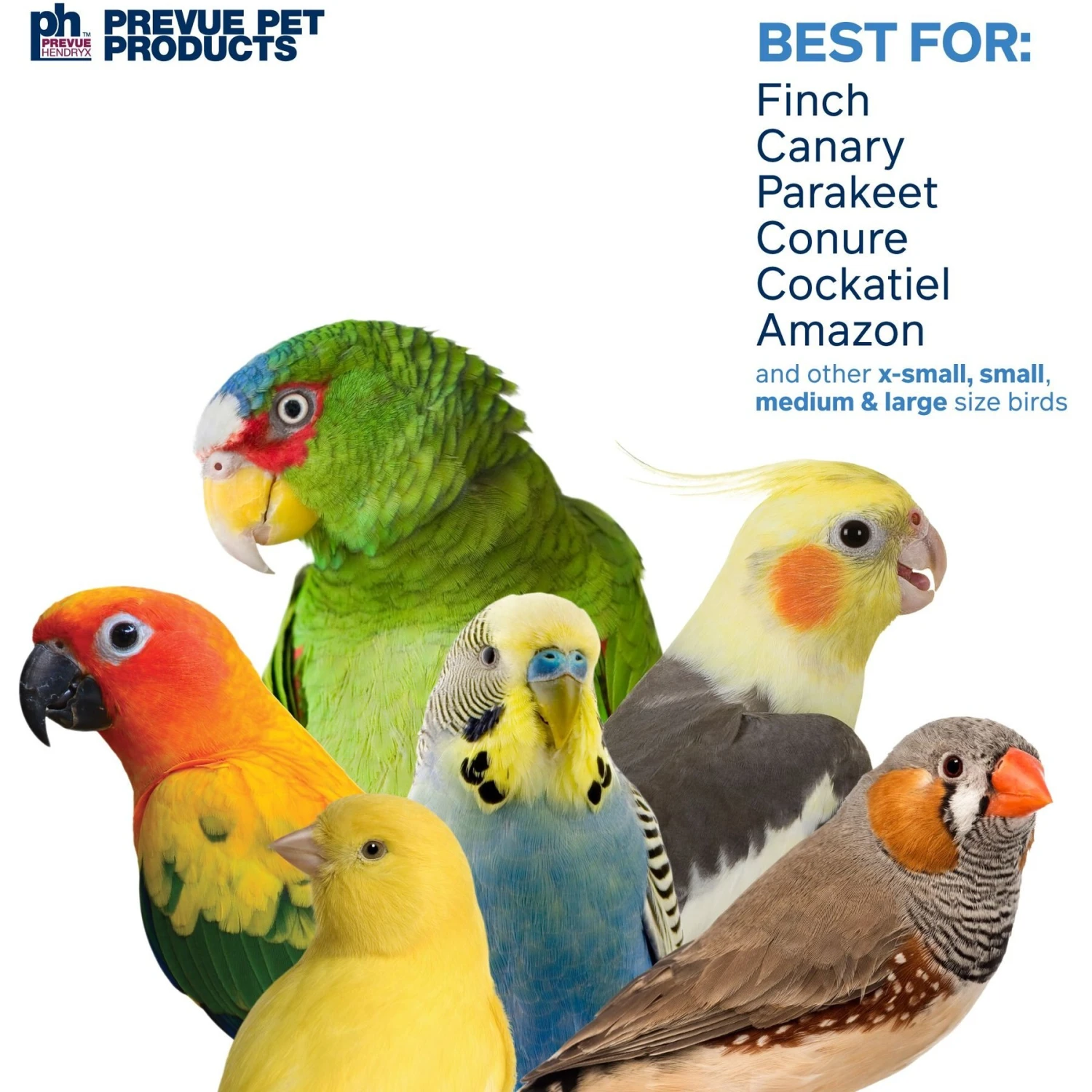 Prevue Pet Products Playfuls Tiki Hut Bird Toy, Multicolor 6 Prevue Pet Products Playfuls Tiki Hut Bird Toy, Multicolor - Image 4