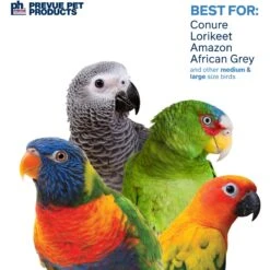 Prevue Pet Products Playfuls Mineral Bird Toy, Multicolor 12 Prevue Pet Products Playfuls Mineral Bird Toy, Multicolor -Sunny Decor Shop 906118 PT3. AC SS1800 V1689364537