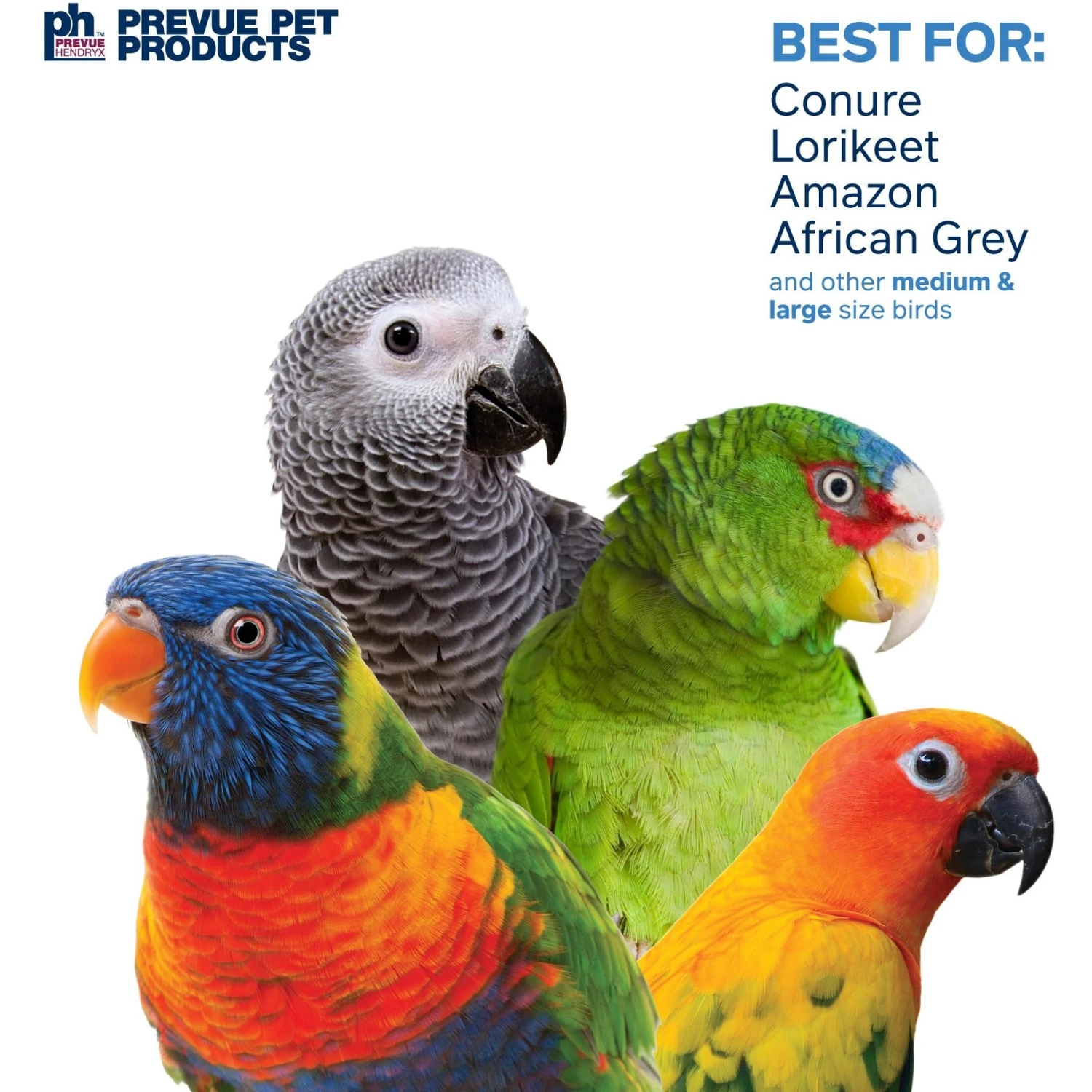 Prevue Pet Products Playfuls Mineral Bird Toy, Multicolor 6 Prevue Pet Products Playfuls Mineral Bird Toy, Multicolor - Image 4