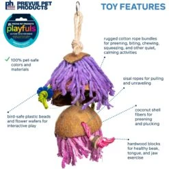 Prevue Pet Products Playfuls Car Wash Bird Toy, Multicolor -Sunny Decor Shop 906198 PT2. AC SS1800 V1689366803