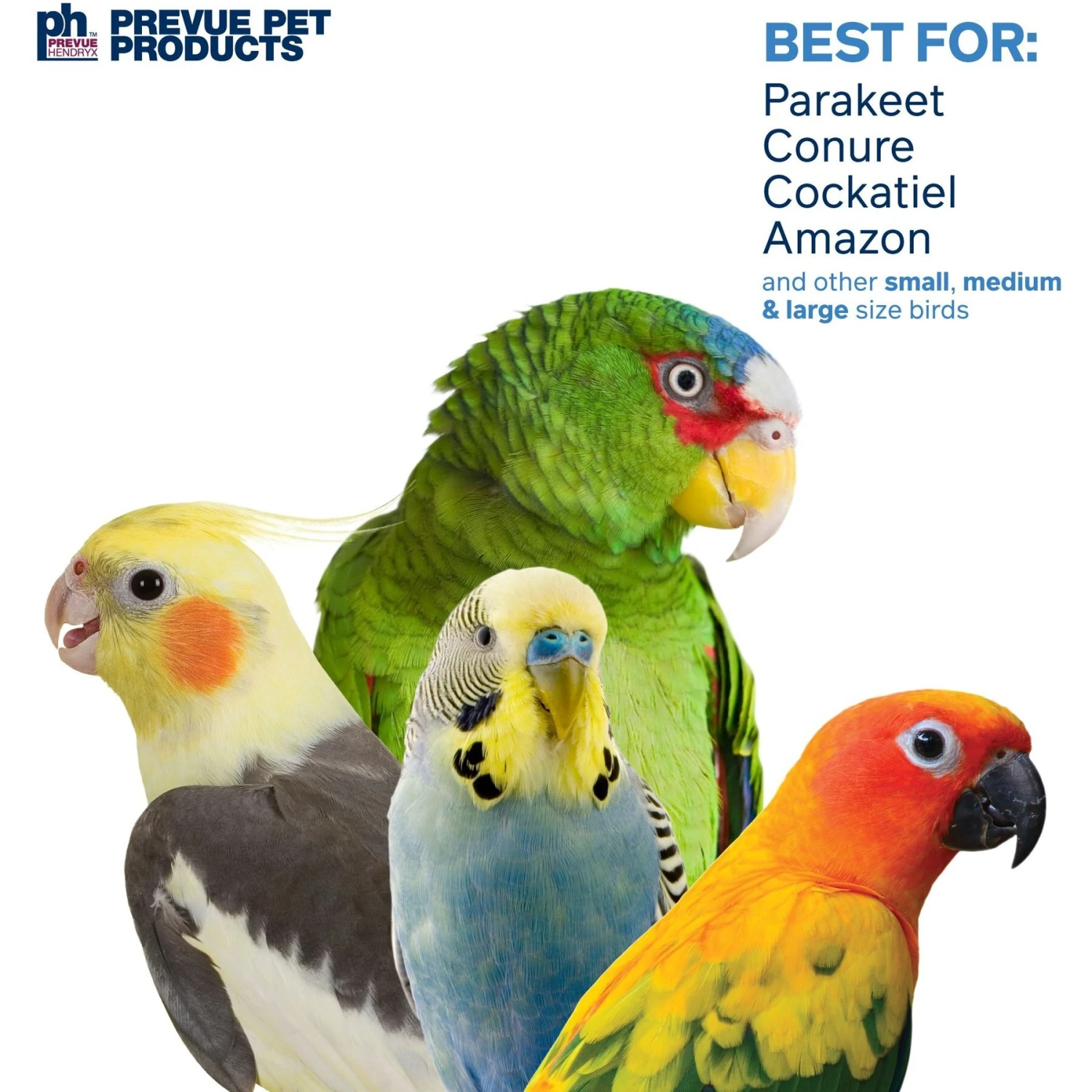 Prevue Pet Products Naturals Island Hideaway Bird Toy, Natural 6 Prevue Pet Products Naturals Island Hideaway Bird Toy, Natural - Image 4