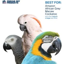 Prevue Pet Products Playfuls Fluff N Stuff Bird Toy, Multicolor 12 Prevue Pet Products Playfuls Fluff N Stuff Bird Toy, Multicolor -Sunny Decor Shop 906262 PT3. AC SS1800 V1689363658