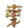 Prevue Pet Products Playfuls Bamboo Shoots Bird Toy, Multicolor 2 Prevue Pet Products Playfuls Bamboo Shoots Bird Toy, Multicolor -Sunny Decor Shop 906278 MAIN. AC SS1800 V1689365324