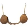 Prevue Pet Products Naturals Double Coconut Walk Bird Toy, Natural -Sunny Decor Shop 906326 MAIN. AC SS1800 V1689363642