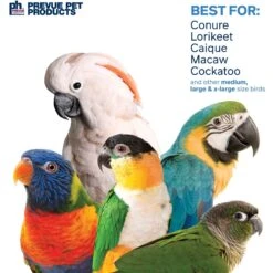 Prevue Pet Products Naturals Coco Monkey Bird Toy, Natural -Sunny Decor Shop 906358 PT3. AC SS1800 V1689369167