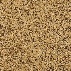 Kaytee Supreme Canary & Finch Food 9 Kaytee Supreme Canary & Finch Food -Sunny Decor Shop 926278 PT1. AC SS1800 V1692734474