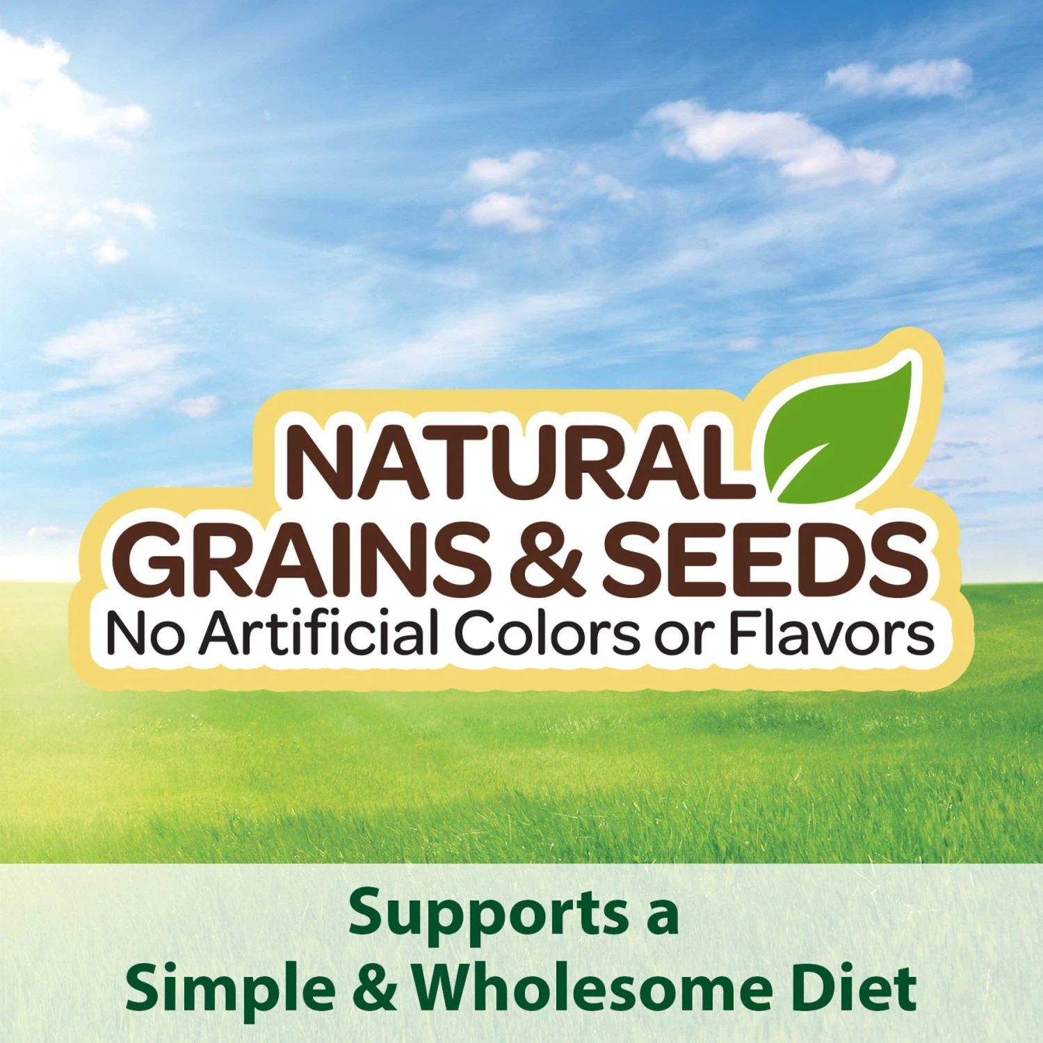 Kaytee Supreme Parakeet Food 6 Kaytee Supreme Parakeet Food - Image 4