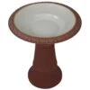 Exaco Scroll Vine Bird Bath, Dusty Rose -Sunny Decor Shop 937870 MAIN. AC SS1800 V1698171880