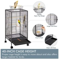 Yaheetech Iron Small Bird Cage, Black, 40-in 13 Yaheetech Iron Small Bird Cage, Black, 40-in -Sunny Decor Shop 944502 PT3. AC SS1800 V1693252177