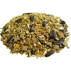 Brown's Encore Classic Natural Cockatiel Food 16 Brown's Encore Classic Natural Cockatiel Food -Sunny Decor Shop 94733 PT6. AC SS1800 V1673648334