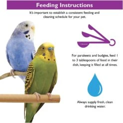 Brown's Encore Classic Natural Cockatiel Food 17 Brown's Encore Classic Natural Cockatiel Food -Sunny Decor Shop 94733 PT7. AC SS1800 V1593459972